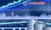 Cổ phiếu EVF liên tiếp phá đỉnh