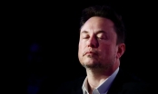 Nhà máy Tesla ở Đức của Elon Musk thiệt hại gần 1 tỷ USD vì 'những kẻ khủng bố sinh thái'