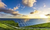 Nguồn cung thắt chặt, nhu cầu năng lượng mặt trời đẩy giá antimon lên mức cao kỷ lục