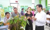 Quảng Nam muốn thu hút các tập đoàn lớn đầu tư vào Sâm Ngọc Linh