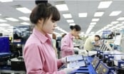 'Sản phẩm xuất khẩu của Việt Nam cần đạt tiêu chuẩn thị trường Hàn Quốc'