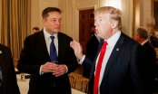 Tỷ phú Elon Musk sẽ quyên góp khoảng 45 triệu USD mỗi tháng để ủng hộ ông Trump