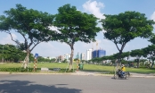 Đà Nẵng: Chính thức hủy Quyết định công nhận quyền sử dụng đất đối với khu đất A20