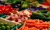 Xuất khẩu rau củ quả tăng mạnh trong 7 tháng đầu năm