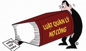 ADB kiến nghị Việt Nam đánh giá lại những hạn chế trong việc sử dụng vốn vay ưu đãi