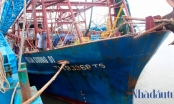 Một doanh nghiệp đền 500 triệu đồng cho tàu vỏ thép của ngư dân bị hư hỏng