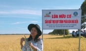 Quảng Trị: Nông sản hữu cơ gắn doanh nghiệp với nhà nông