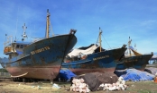 Bình Định: Ngư dân đòi trả lại tàu vỏ thép cho doanh nghiệp