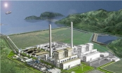 EVN đề xuất loại nhà thầu PVC khỏi dự án Nhiệt điện Quảng Trạch 1