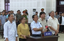 Kết cục của Vụ án “buôn lậu” 535.8m3 gỗ trắc ở Đà Nẵng
