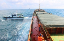 Quảng Nam: Tạm giữ tàu vận chuyển gần 3.000 tấn than