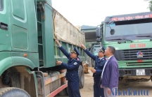 Nghệ An: Quyết liệt trong xử lý vi phạm đối với xe quá tải