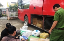 Quảng Nam: Phát hiện xe khách vận chuyển gỗ lậu