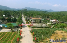 Nông thôn mới Hà Tĩnh: Từ tỉnh nghèo thành những vùng quê đáng sống