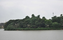 Check in điểm du xuân sinh thái Hồ Vệ Vừng - Nghệ An