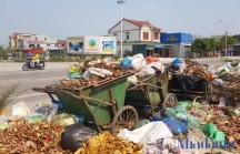 Thị xã Kỳ Anh ngập trong rác vì nhà máy xử lý rác quá tải?