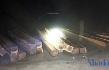 Quảng Nam: Phát hiện 50 phách gỗ lậu trên sông Vu Gia