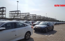 Lô xe Honda miễn thuế tại cảng Hải Phòng chính thức thông quan
