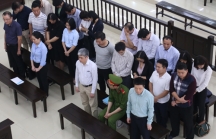 VKS Cấp cao đề nghị bác tất cả kháng cáo của ông Hà Văn Thắm