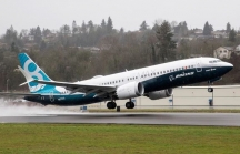 Thêm nhiều nước cấm cửa 737 MAX 8, cổ phiếu Boeing tiếp tục rơi