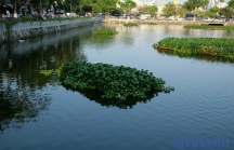 Cận cảnh những hồ nước tại TP. Đà Nẵng mà ông Dũng ‘lò vôi’ muốn xử lý ô nhiễm để nuôi cá Koi