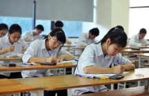 Lộ diện đường dây bán chứng chỉ cho học sinh chuẩn bị dự tuyển sinh lớp 10 tại Đà Nẵng