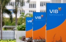 VIB đạt lợi nhuận 1.820 tỷ trong 6 tháng đầu năm 2019