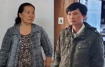 Khai trừ khỏi Đảng nguyên Chi cục trưởng Chi cục Kiểm lâm tỉnh Phú Yên