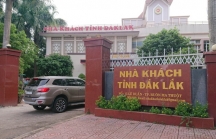 Tỉnh ủy Đắk Lắk chỉ đạo Ủy ban Kiểm tra vào cuộc vụ nữ Trưởng phòng 'mượn' bằng của chị gái để thăng tiến