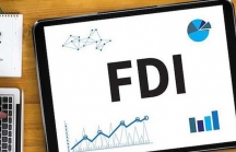 Chính phủ ban hành chương trình hành động nâng cao hiệu quả dòng vốn FDI