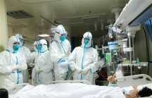 Thủ tướng công bố dịch viêm đường hô hấp do virus Corona gây ra ở Việt Nam