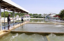 Vì sao Đà Nẵng huỷ kết quả lựa chọn nhà thầu nhà máy nước nghìn tỷ?