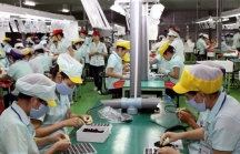 Gần 11.000 việc làm đang chờ người lao động ở Khu kinh tế Dung Quất