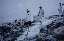 Hình ảnh Bác Hồ kéo lưới ở Sầm Sơn 60 năm trước