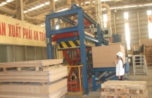 Sắp xây dựng Nhà máy, sản xuất chế biến gỗ xuất khẩu nội, ngoại thất 57 tỷ đồng tại Quảng Trị