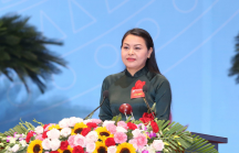 Nữ Bí thư Ninh Bình giữ chức Trưởng đoàn Đại biểu Quốc hội