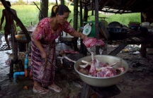 Xiêm Riệp chính thức cấm thịt chó giữa lúc du lịch Campuchia đang vắng khách