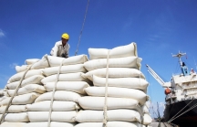 'Bối cảnh khẩn cấp', đằng sau ồn ào tạm dừng xuất khẩu gạo