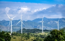 Ai đứng sau dự án điện gió 7.700 tỷ ở Đắk Lắk?