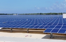 Thừa Thiên Huế cho thuê hơn 580.000m2 đất để thực hiện Nhà máy điện mặt trời 120 tỷ