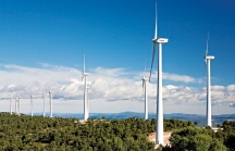 Tân Tấn Nhật được chấp thuận dự án điện gió gần 1.900 tỷ ở Kon Tum