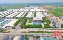 Nữ đại gia khoáng sản Thanh Hoá lại chi gần 300 tỷ làm cụm công nghiệp ở Triệu Sơn