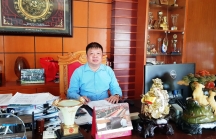 Công ty của Chủ tịch HĐQT Cao su Sao Vàng được cấp 8,5 ha đất làm Dự án chăn nuôi tại xã Kỳ Lạc