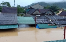 Mưa lớn kéo dài, nhiều địa phương ở Nghệ An chìm trong biển nước