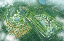 Nông sâu năng lực chủ mới dự án Khu đô thị mới Nam Vũng Tàu