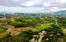 Quảng Trị có thêm nhà máy điện gió tổng vốn đầu tư 1.696 tỷ đồng