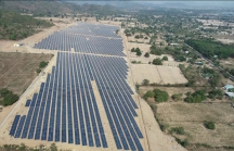 LICOGI 16 Gia Lai chi 600 tỷ thực hiện dự án điện mặt trời Chư Ngọc giai đoạn 2