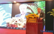 Tổng giám đốc VinaCapital: 'Mối quan hệ chiến lược Việt Nam - Ấn Độ vẫn còn rất nhiều tiềm năng để phát triển'