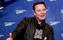 Elon Musk có thể làm đảo lộn thị trường chỉ bằng vài dòng tweet?