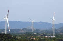 Vì sao Công ty Cổ phần Điện gió Hướng Tân trả lại gần 7.700 m2 đất cho Quảng Trị?